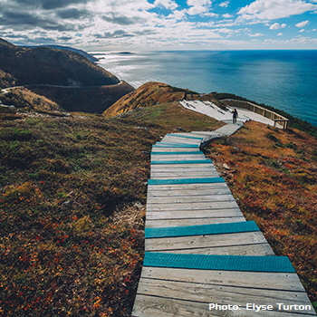 Skyline Trail, Pleasant Bay, Cape Breton Island, NS | Photo: Elyse Turton