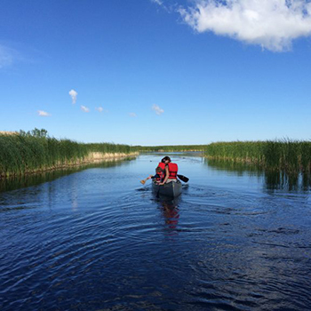 Canoeing at Oak Hammock Marsh Interpretive Centre, Stonewall, Manitoba