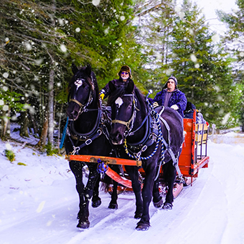Parc Omega, Montebello, Québec